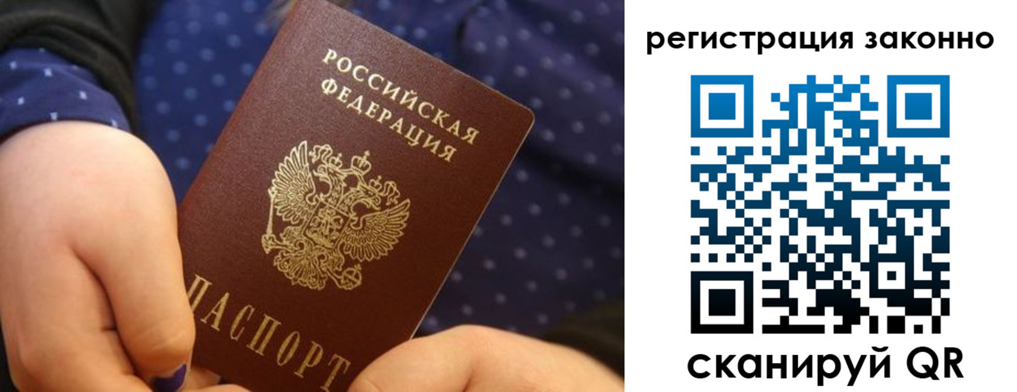 прописка для работы в Павловске